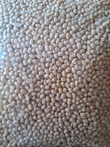 White Gota Urad 250gm