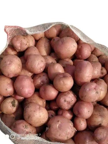 Red/Lal Aaloo 1kg