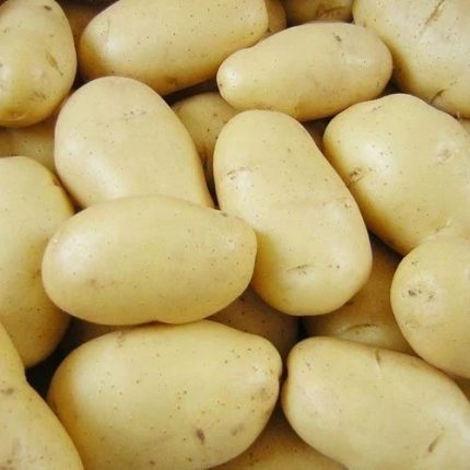 White/Sada Aloo 1kg